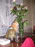 2004_12__001.jpg