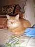 2004_12__003.jpg