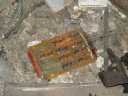 2006_01__004.jpg