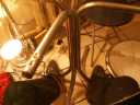2006_01__024.jpg