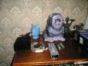 2007_07__026.jpg