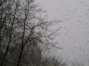 2008_05__002.jpg