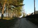 2008_05__034.jpg
