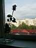 2008_09__003.JPG