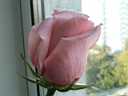 2008_09__004.JPG