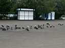 2008_09__013.JPG