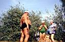 img1840.jpg