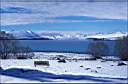 Rumiansev_S,_NZ,_winter,_Tekapo_lake.jpg